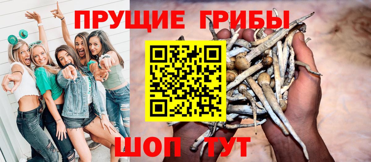 где можно купить наркотик  Галлюциногенные грибы MAGIC MUSHROOMS  Вход с VPN  Стрежевой 